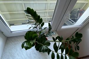 квартира по адресу Победы ул., 99