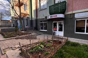 комерційна за адресою Рози Ауслендер вул., 33