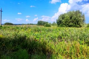 ділянка за адресою Центральна
