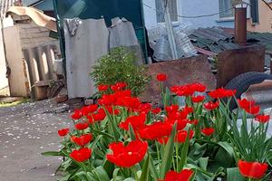 будинок за адресою Брацлавська
