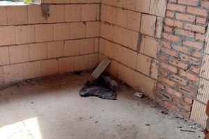 будинок за адресою Виговського вул. (Суворова), 24