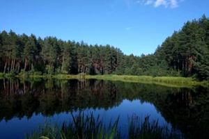 ділянка за адресою Чуднівська