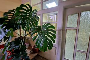 коммерческая по адресу Корятовича пл., 15