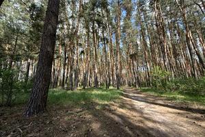 ділянка за адресою Слобідська вул., 15