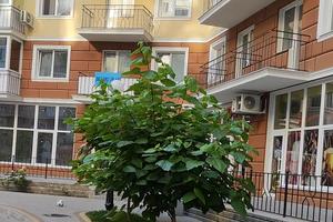 квартира по адресу Люстдорфская дорога ул., 100з