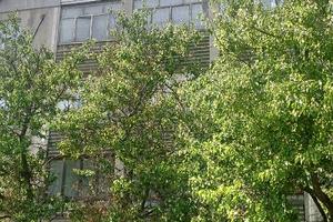 квартира за адресою Красный камень, 22