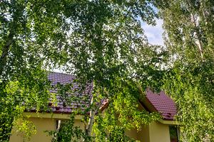 будинок за адресою Лайнер