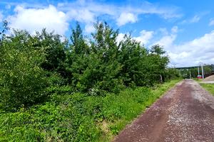 ділянка за адресою с. Оноківці, Виноградна