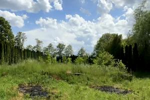 ділянка за адресою с. Старі Кривотули, 