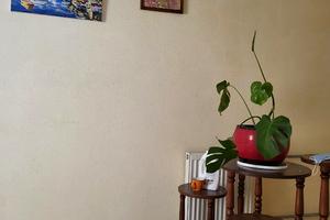 квартира за адресою Петра Болбочана вул. (Клапцова), 52