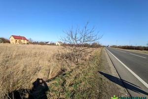 ділянка за адресою с. Черніїв, 