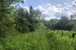 участок по адресу пгт. Шкло, 