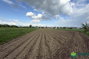 ділянка за адресою с. Березівка, 