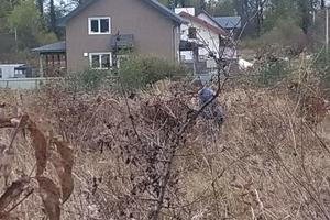 ділянка за адресою Центральна