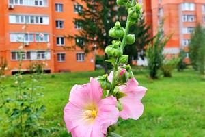 квартира за адресою Герасима Кондратьєва вул. (Кірова), 158