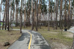 будинок за адресою Привітна