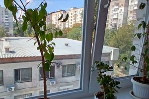 квартира по адресу Островская ул., 2