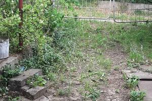 дом по адресу Центральна