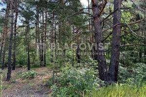 ділянка за адресою Броварський просп.