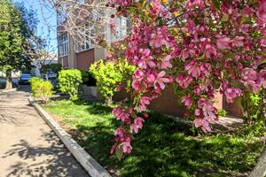 квартира по адресу Старицкого ул., 23а