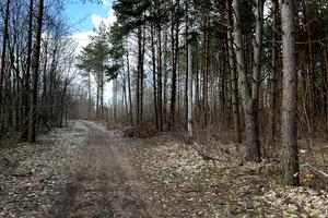 ділянка за адресою Садова вул.