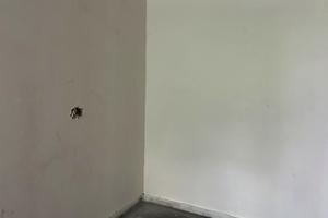 квартира по адресу Фестивальный пер., 16