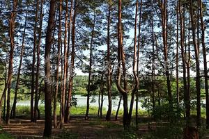 комерційна за адресою Світла вул., 1