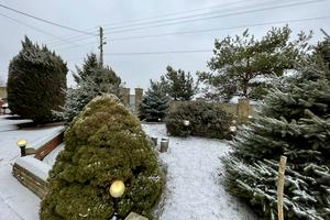 будинок за адресою Центральная