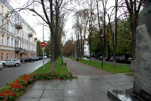 комерційна за адресою Липська вул., 17