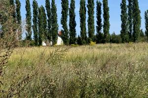 участок по адресу вчительська, 10
