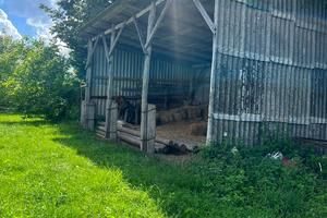 будинок за адресою Андріанова, 6