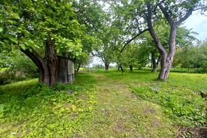 будинок за адресою Гургули, 59