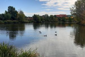 будинок за адресою Ювілейний провулок