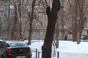 коммерческая по адресу Митрополита Василия Липковского ул. (Урицкого), 40