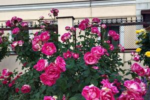будинок за адресою Бахмутська вул. (Курська)