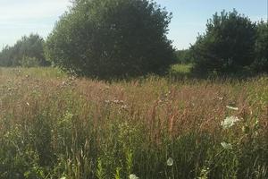 ділянка за адресою невказана