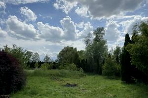 ділянка за адресою с. Старі Кривотули, 