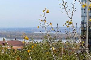 квартира за адресою Героїв Крут вул. (Фурманова), 12