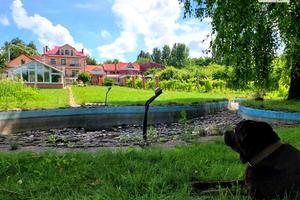участок по адресу Новогородская ул.