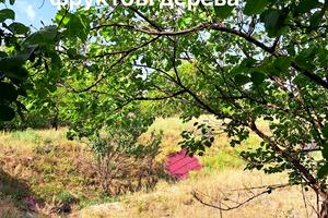 дом по адресу Эрлиха ул. (Карла Либкнехта), 31