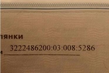 1787716325606188