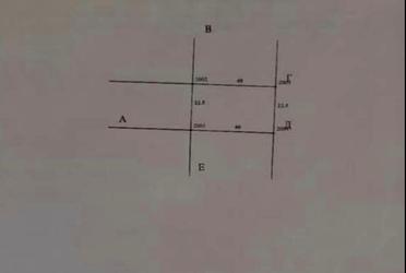 1834123516361252