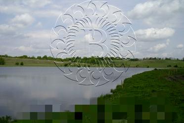 1825504181252431