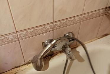 1834990521583686