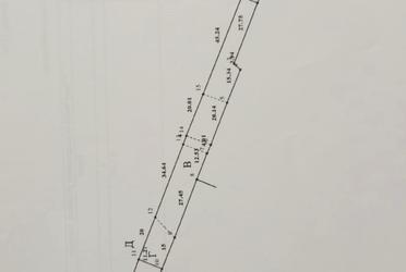 1817825209359769
