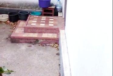 1782557069571938