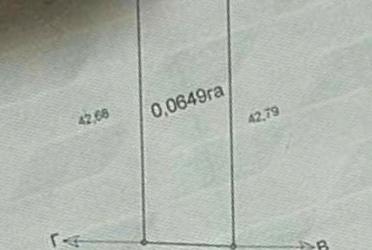 1830919526851948