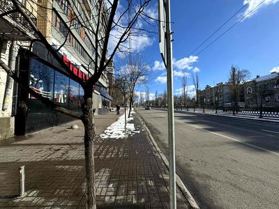 комерційна за адресою Тараса Шевченка бульв., 46-А