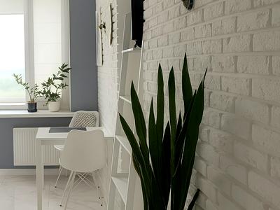 квартира за адресою Олевська вул., 5