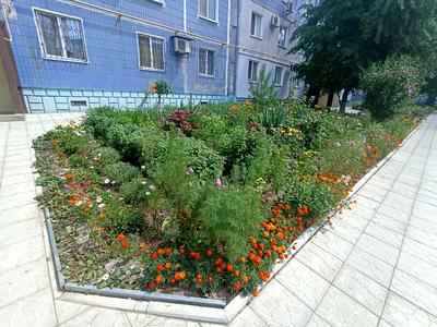 квартира за адресою Курузова вул., 11